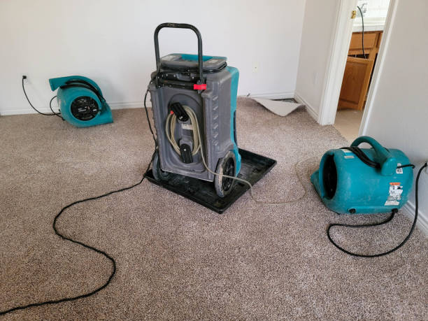 Best Flood restoration services  in Oak View, CA