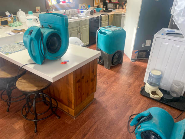  Oak View, CA Water damage restoration Pros