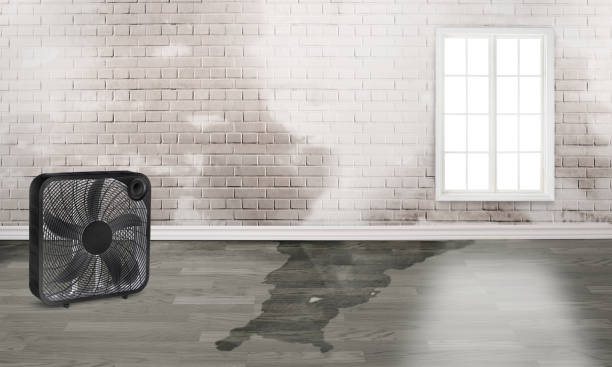 Best Sewage cleanup and water damage restoration  in Oak View, CA