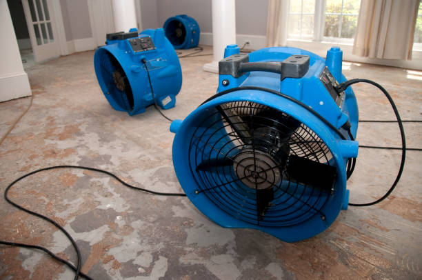 Best 24-hour water damage restoration  in Oak View, CA